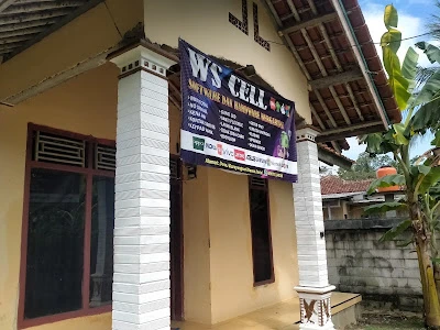 Ws cell