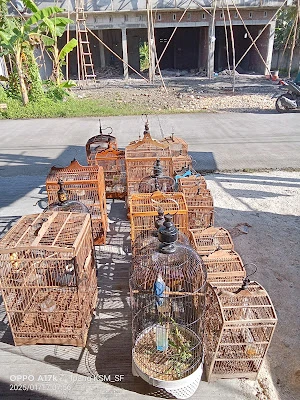 Ipang petshop