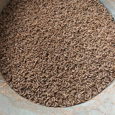 Farm NIH (Farming Nurul Iman Hebat)