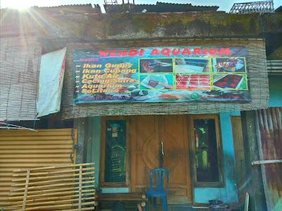 Wendi Aquarium