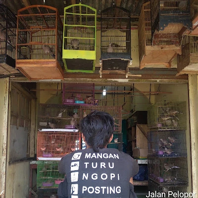 Dealer Merpati Tasun