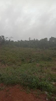 Hutan Sulanjana
