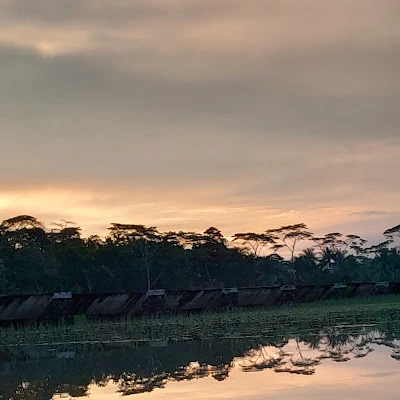 Toko Kayu Mbah Gito
