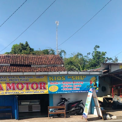 TOKO PAKAN TERNAK UNGGAS BURUNG KUCING