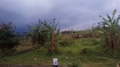 Depot Berkah Galon
