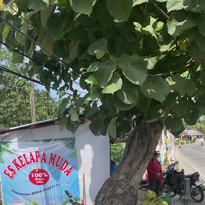 Es kelapa muda
