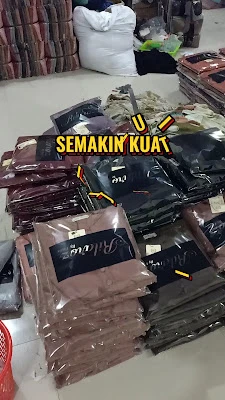 BMJ Modesty (konveksi)