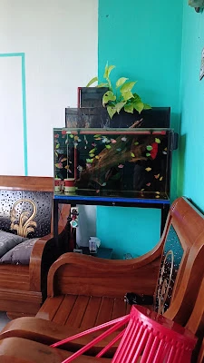 Uphie home