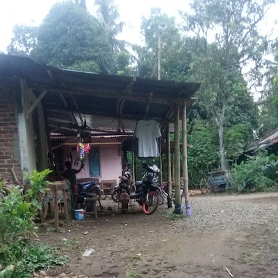 Warkop Bambu