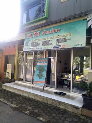 Elyn Flasher