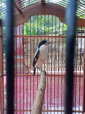 Rumah yasmin AA