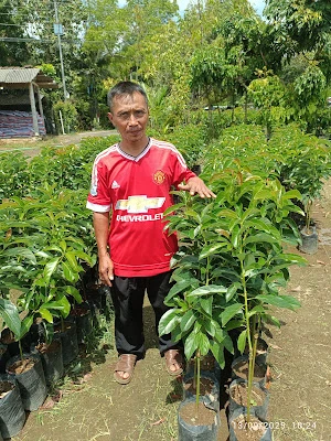 KONVEKSI CILACAP (colcreative)