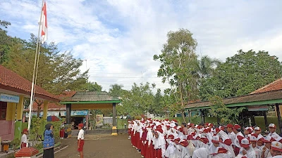 SDN Purwodadi 4 Patimuan