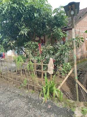 Septi