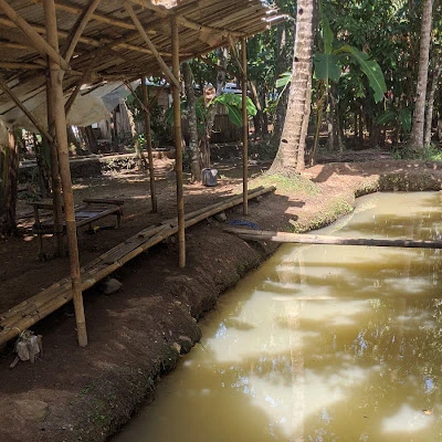 Pemancingan IKUN FISH Selandaka