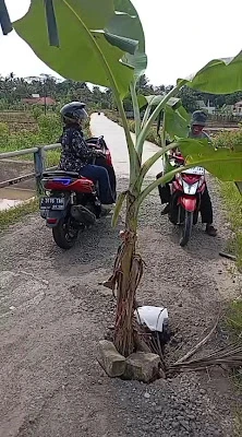 Klinik Azahra (dr Elis)