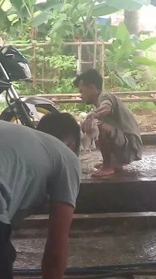 Cucian mobil dan motor teeng (semir dan vakum)