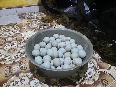 Dusun bengkekan
