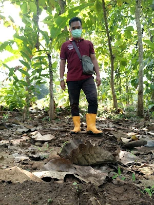 Balai Dusun II Cilempuyang