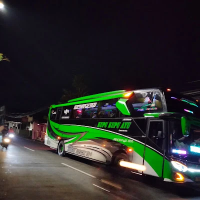 PO. Kupu Kupu Ayu