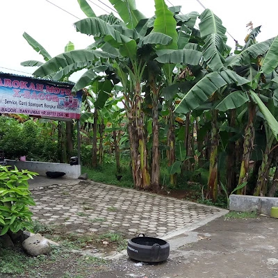 azzahra motor