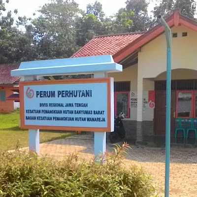 Administrator / KKPH Perum Perhutani Purwodadi