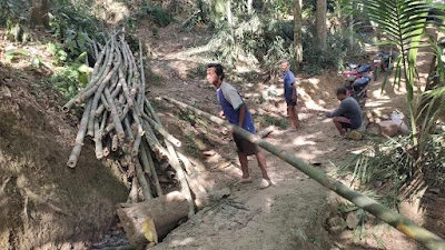 Arto moro farm