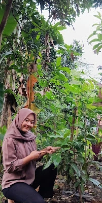 Rumah Santi
