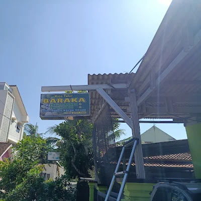 Bajing kulon