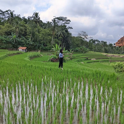 Warung glondong