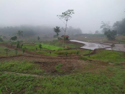 CISADANG VILLAGE