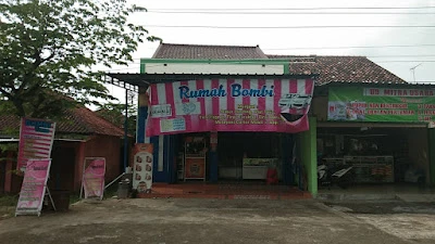 Bombi Trans