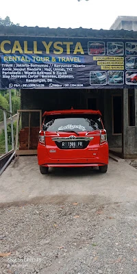 Callysta rental
