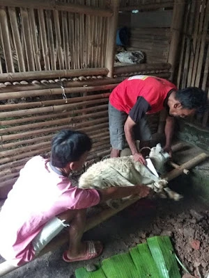 PAK ILYAN (JASA POTONG SAPI& AQIQAH)
