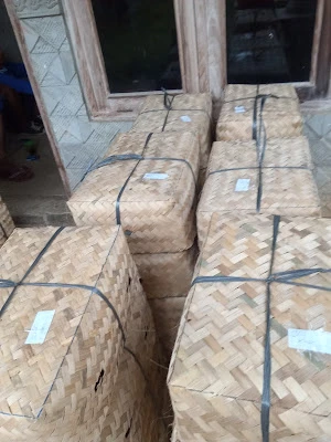Kips merpati