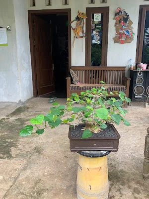 toko laundry