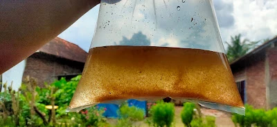 Jual Kutu Air