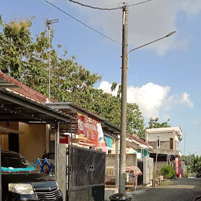 Hardiko trans