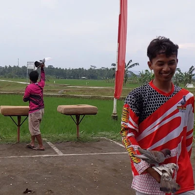 Lapak Merpati Jaranan