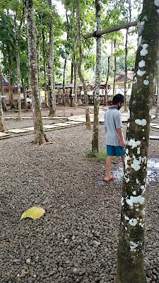 Wanarata, Karangmangu - Kroya - Cilacap