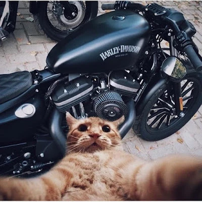 Joko bengkel variasi Harley Davidson 30 (sembako) rochim