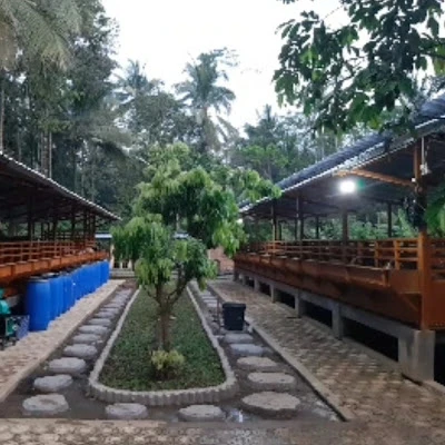 Dafa farm