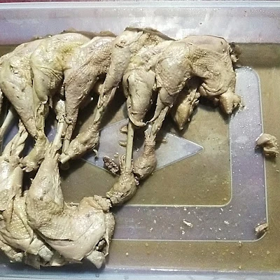 Ayam Goreng Lunak "Mbok Aspi"