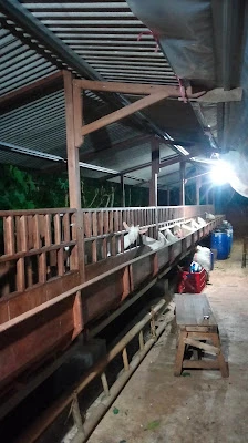 PAGER HILL FARM