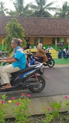 MI PALEDAH II