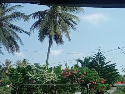 ELeran Pak Warno