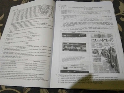 rumaeh upi