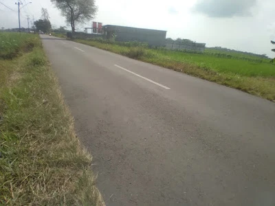Panti Pijat Tuna Netra Segar Alami