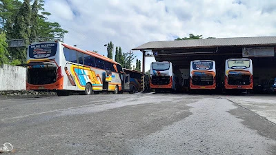 Rosalia Express Purwokerto Pool