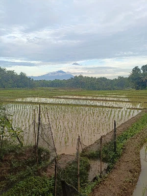 Home enjoy